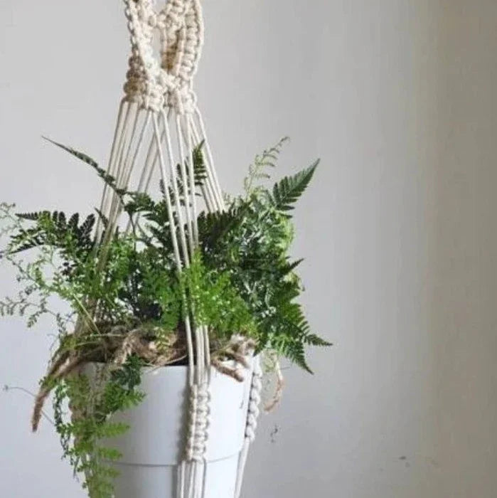 مكرمية حامل أواني زرع قطن ،75 سم