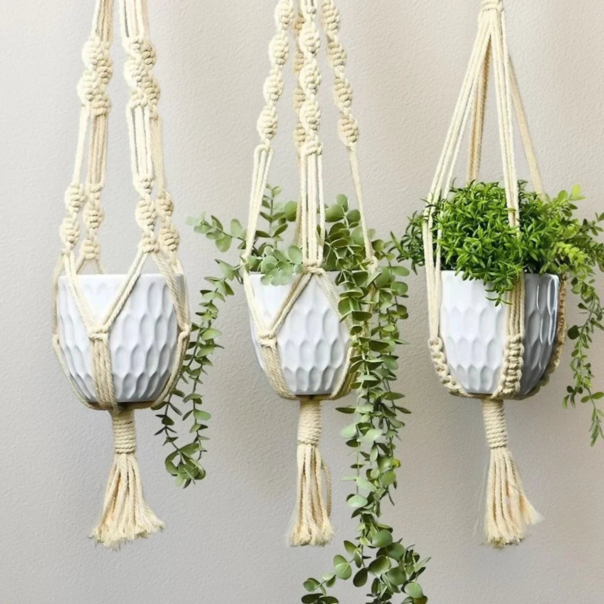 طقم حامل اواني زرع مكرمية قطن، 80 سم - 3 قطع