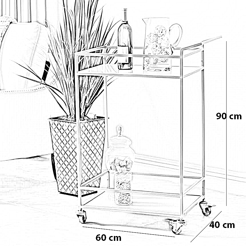 ترابيزة تقديم ستيل، 60*40*90 سم