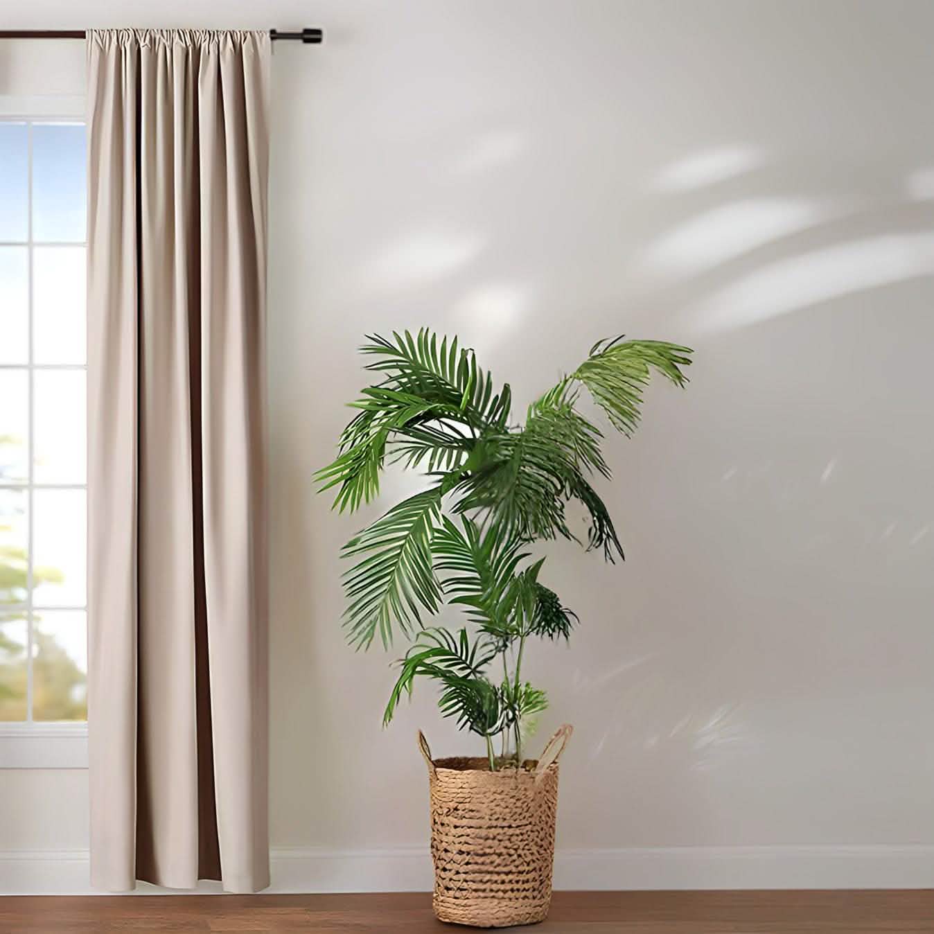 ستارة لون بيج 140*240 سم - CART68 Cartela