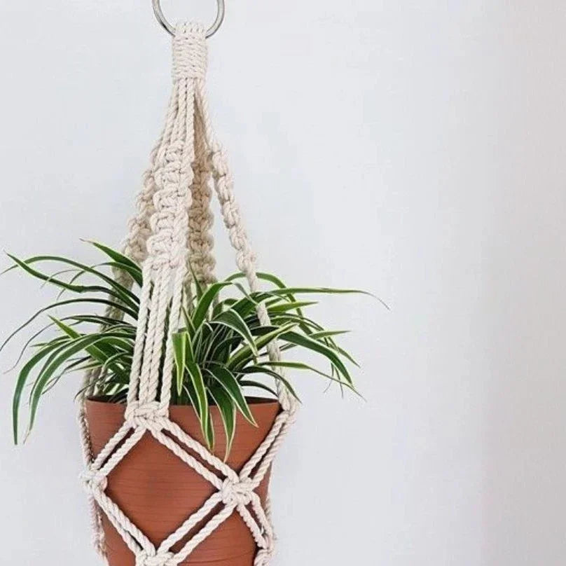 مكرمية حامل أواني زرع قطن ،55 سم