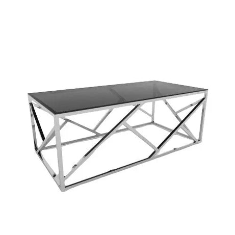 ترابيزة قهوة ستانلس ستيل 60*120*45 سم - RAX3 - Homix