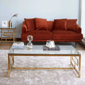 ترابيزة قهوة معدن ذهبي 60*120*45 سم - RAX5 - Homix