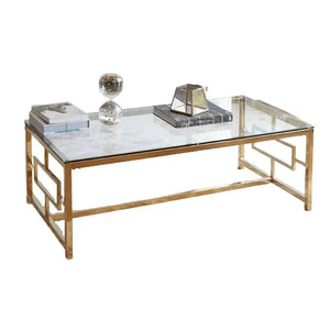 ترابيزة قهوة معدن ذهبي 60*120*45 سم - RAX5 - Homix