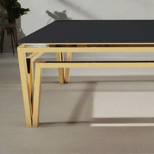 ترابيزة قهوة معدن 60*120*45 سم - RAX9 - Homix