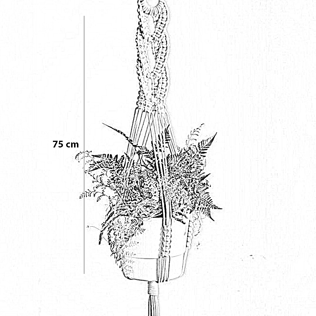 مكرمية حامل أواني زرع قطن ،75 سم