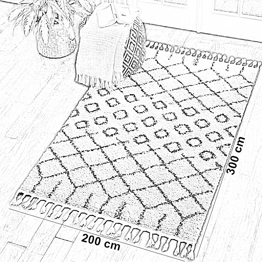 سجادة صوف، 200*300 سم