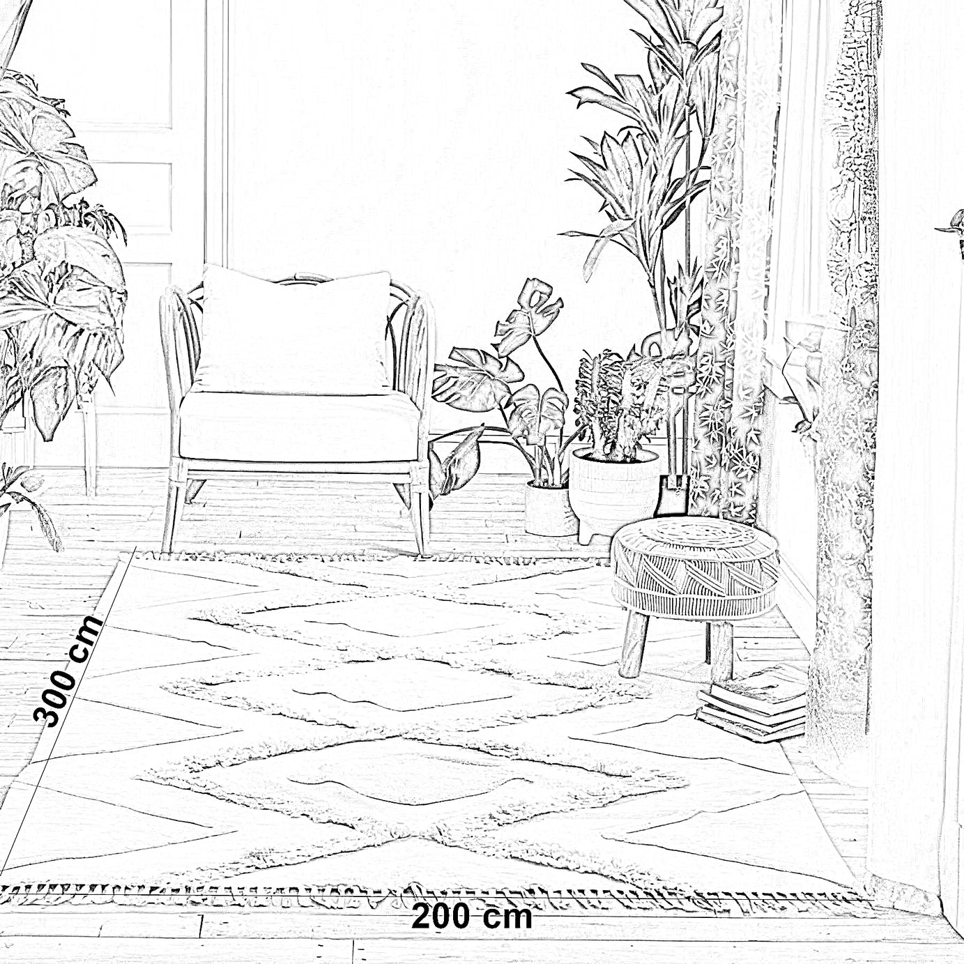 سجادة صوف، 200*300 سم